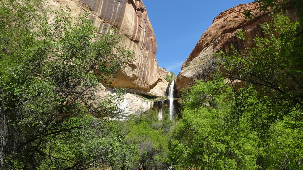 LOWER CALF CREEK FALLS, DEAD HORSE, CANYONLANDS, MOAB - 35 Dias en solitario por la West Coast americana. (8)