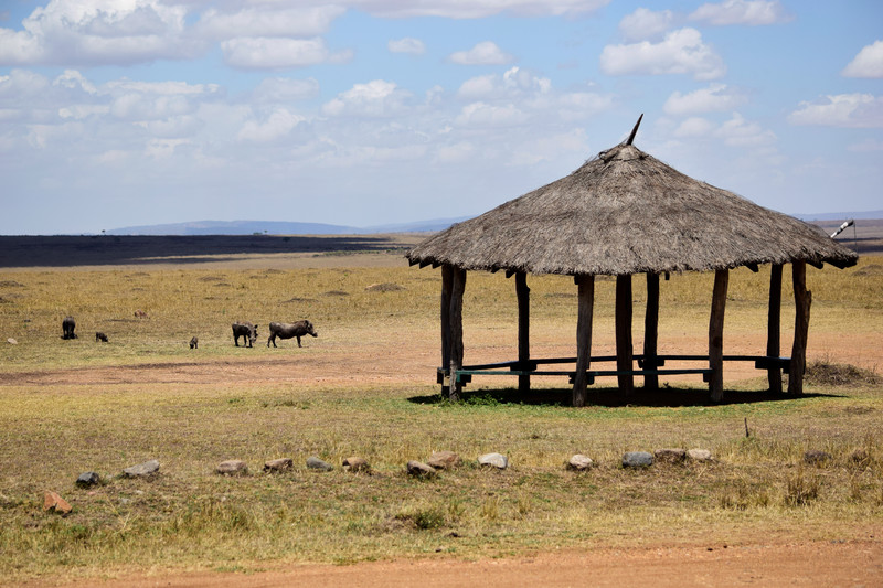 Mis días de safari en Uganda, Kenia y Zanzíbar.. Os lo intento contar - Blogs de Africa Este y Centro - Parque Amboseli, el sitio de los elefantes (2)