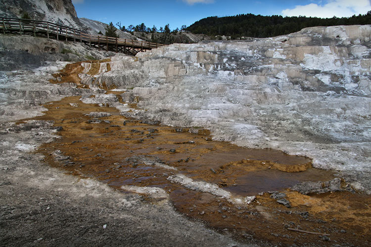 DIA 16: Yellowstone - 18 días por la Costa Oeste de Estados Unidos: un sueño hecho realidad (6)