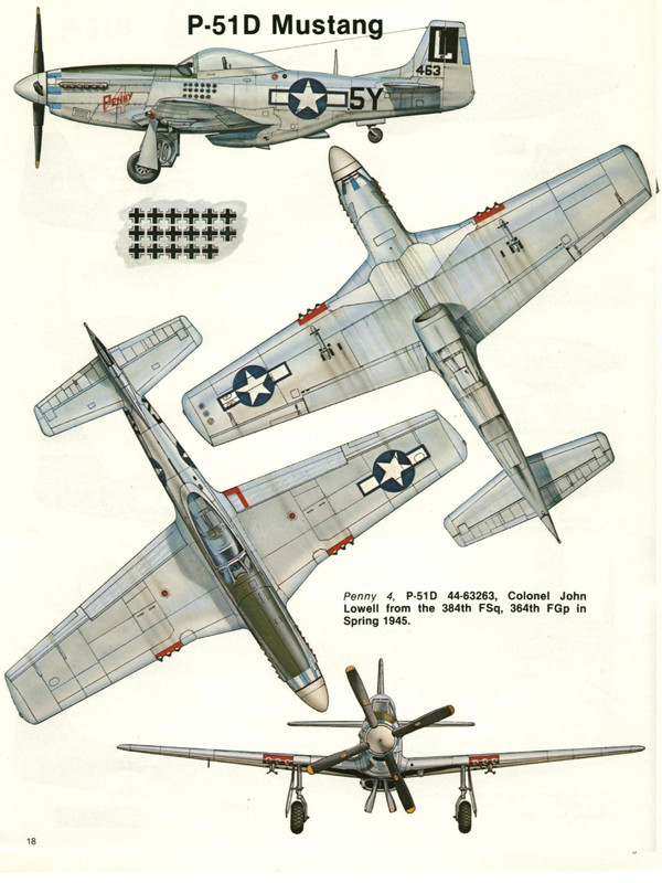 Perfil del Mustang P-51