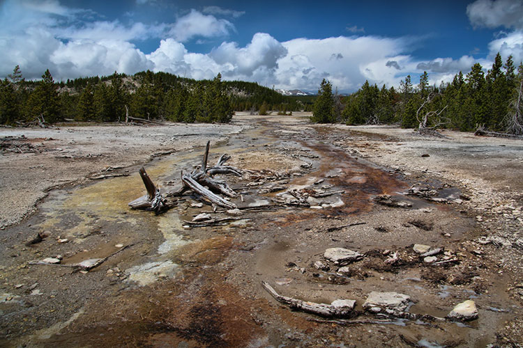 DIA 16: Yellowstone - 18 días por la Costa Oeste de Estados Unidos: un sueño hecho realidad (17)
