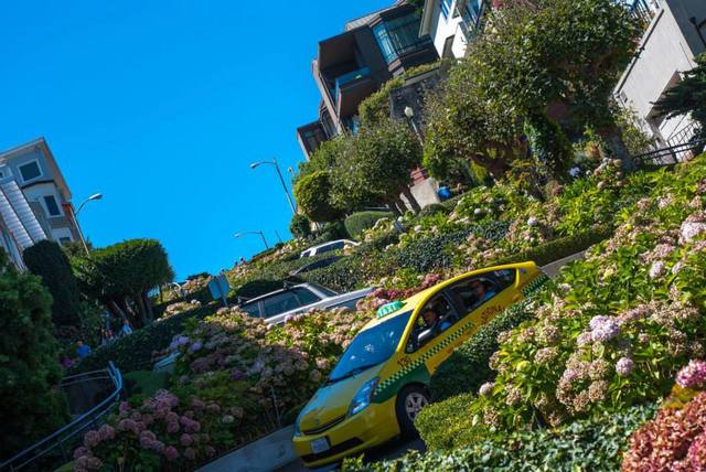 Mi aventura americana: Costa Oeste 2013! - Blogs de USA - SAN FRANCISCO Y FIN DEL TRAYECTO (3)