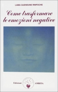 Lama Guendune Rinpoche - Come trasformare le emozioni negative (1995)