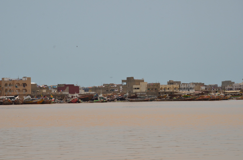 Senegal y sus pueblos-2016 - Blogs de Senegal - SAINT LOUIS-5-8-2016-SENEGAL (15)