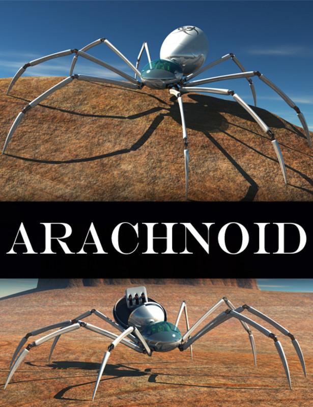Arachnoid