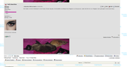 https://s13.postimg.cc/6e7331lcj/Screenshot-2018-2-23_New_Transformers_Archive_-_TF_Beast_Wars.png