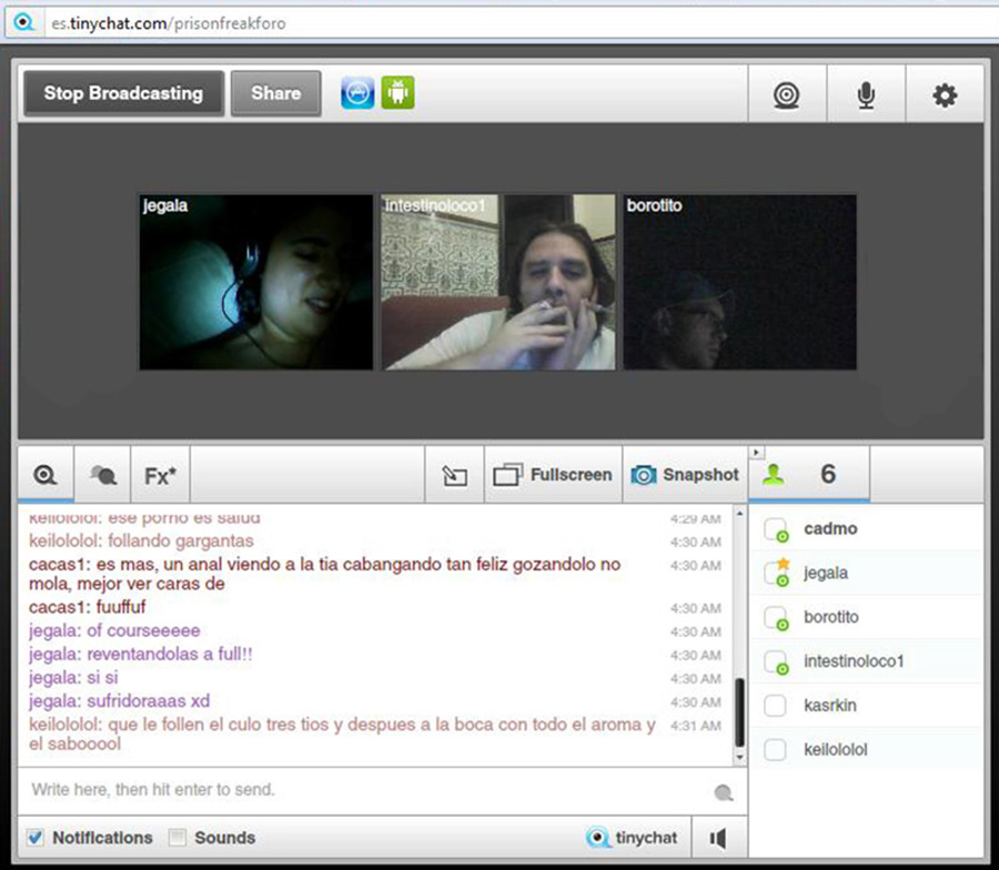 tinychat_pf_12_05_2012_g.jpg
