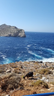 Amorgos, Le Grand Bleu - El Egeo tranquilo (55)