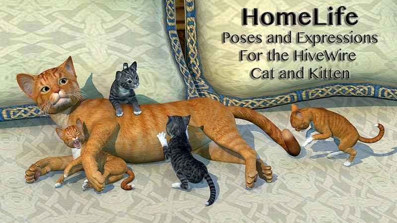 11521 homelife for the hw house cat and kitten m