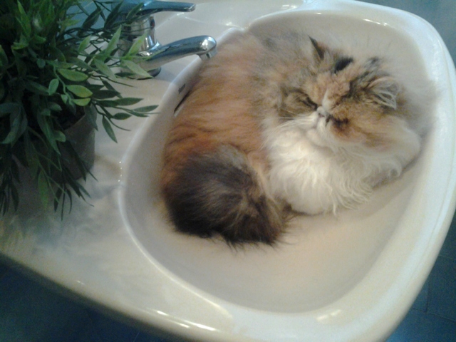 2014_01_11_15_57_13.jpg