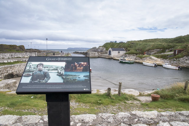 Dia 3. Giant’s Causeway, Ballintoy Harbour, Carrick a redge rope, Dark Hedges... - Roadtrip de 12 dias por el norte de Irlanda (3)