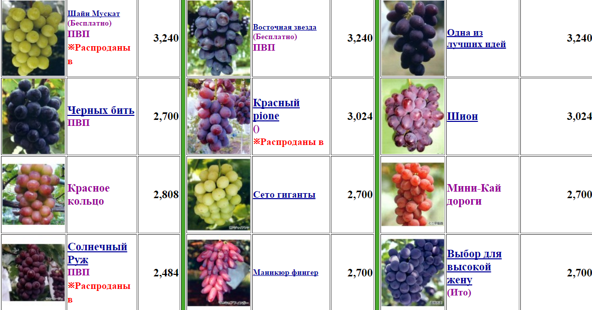 Какие сорта винограда бывают фото и название
