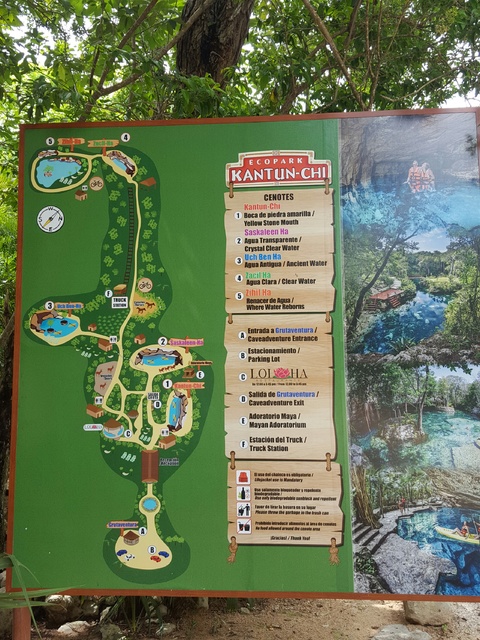 Riviera Maya con niña de casi 2 años en Palladium - Blogs de Mexico - 30/08/16 Akumal y Ecopark Kantun-chi (2)