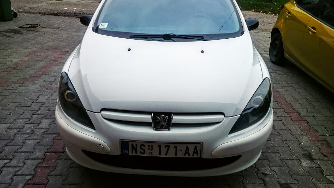 slika