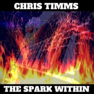 Chris Timms - The Spark Within (2016).mp3 - 320 Kbps