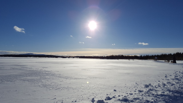 Un cuento de invierno: 10 días en Helsinki, Tallín y Laponia, marzo 2017 - Blogs de Finlandia - Levi, paisajes para una postal (19)