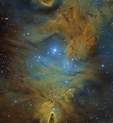 SHO120_70_200_crop_DBE_PSColors_suite_ACDNR.jpg