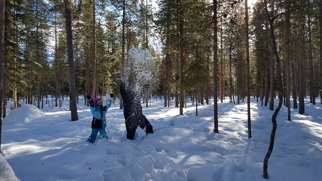 Levi, paisajes para una postal - Un cuento de invierno: 10 días en Helsinki, Tallín y Laponia, marzo 2017 (11)