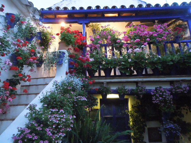 Llegada y primeros patios - Patios de Córdoba (1)